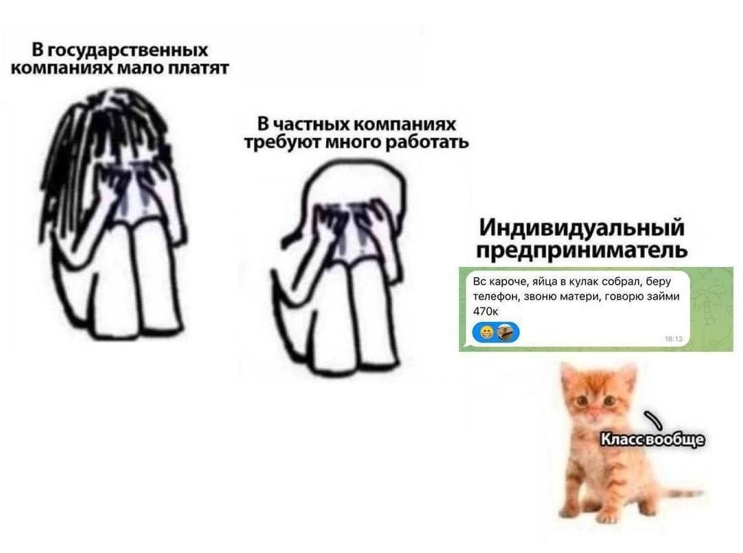 В государственных компаниях мало платят В частных компаниях требуют много работать Индивидуальный предприниматель кароче, яйца в кулак собрал, беру телефон, звоню матери, говорю займи 470к we.