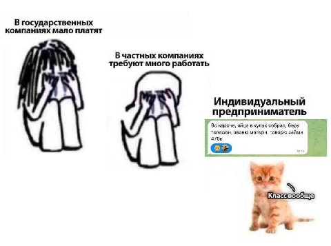 В государственных компаниях мало платят В частных компаниях требуют много работать Индивидуальный предприниматель кароче, яйца в кулак собрал, беру телефон, звоню матери, говорю займи 470к we.