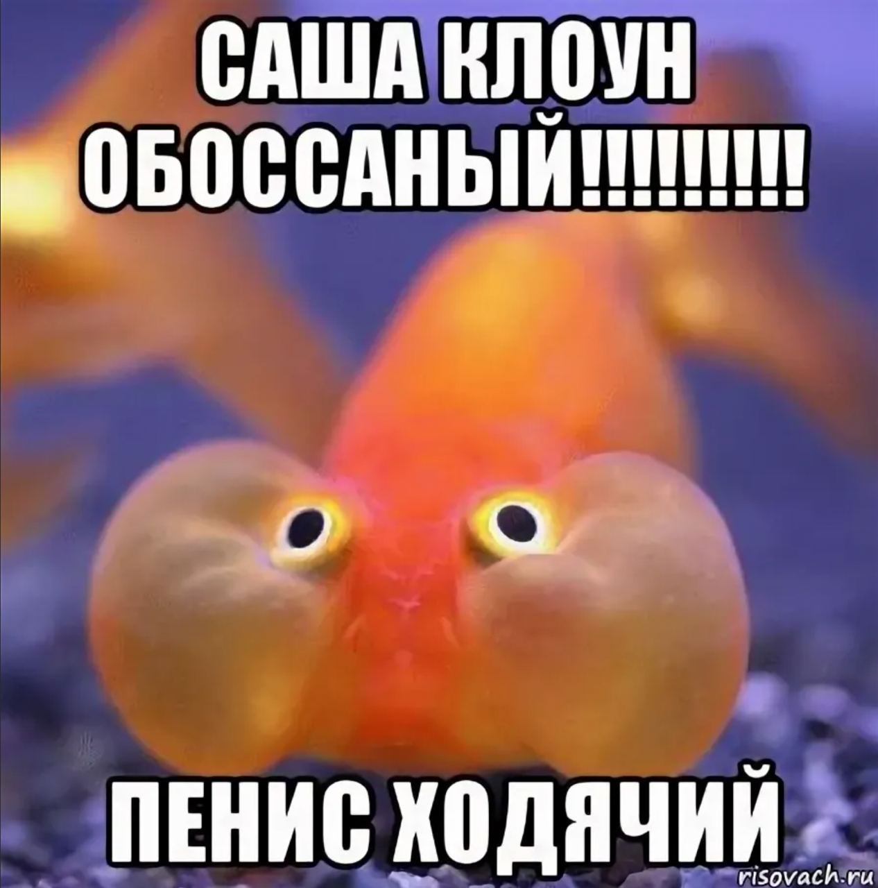 САША КЛОУН ПЕНИС ХОДЯЧИЙ