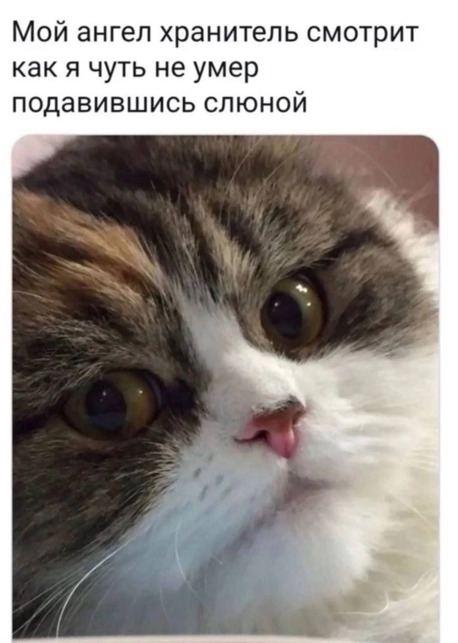 Мой ангел хранитель смотрит как я чуть не умер подавившись слюной