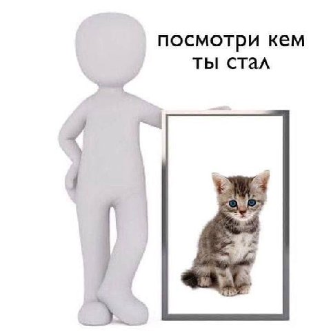 посмотри кем ты стал