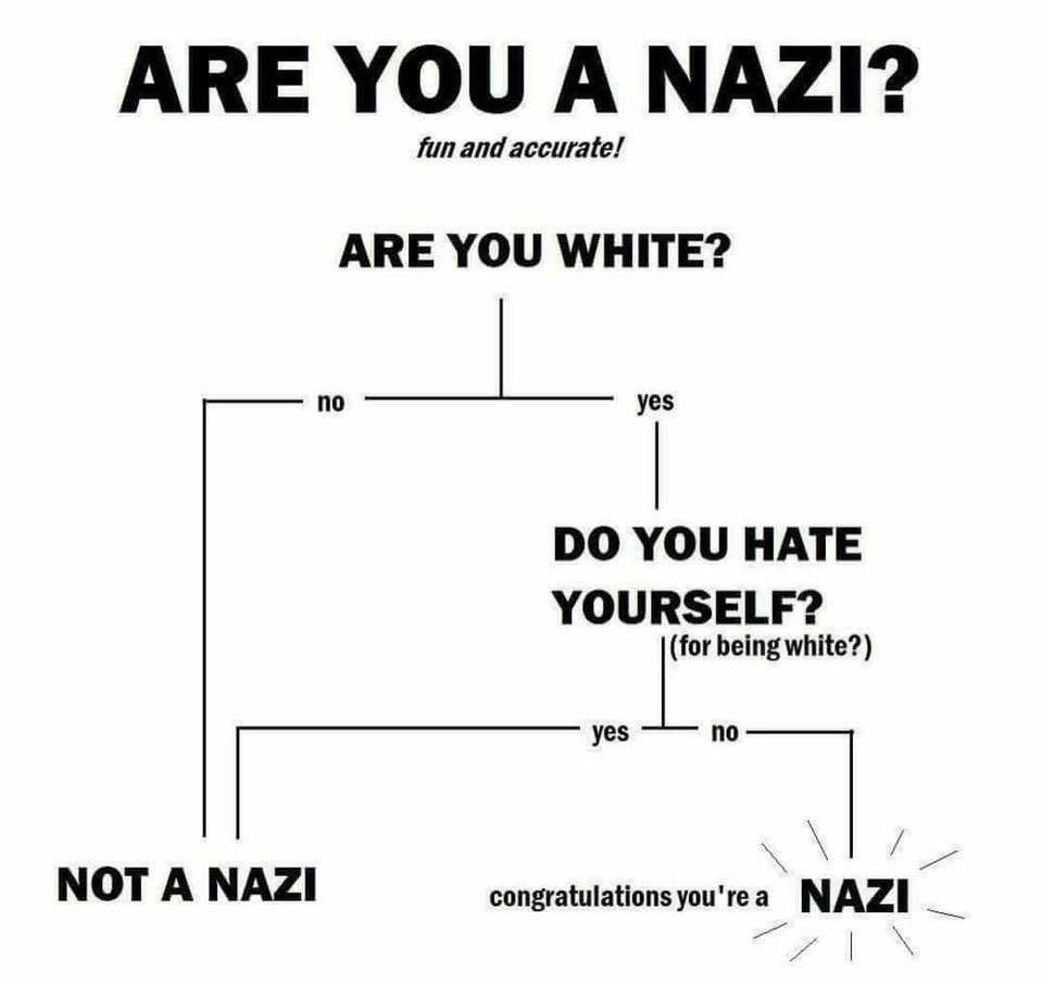ARE YOU A NAZI? fun and accurate! ARE YOU WHITE? no YOU HATE YOURSELF? being white?) yes no NOT A NAZI congratulations you'rea NAZI