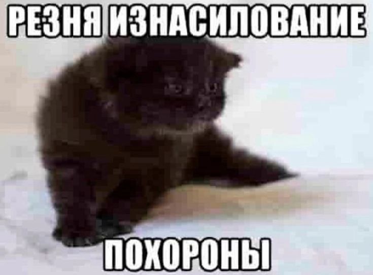ПОХОРОНЫ