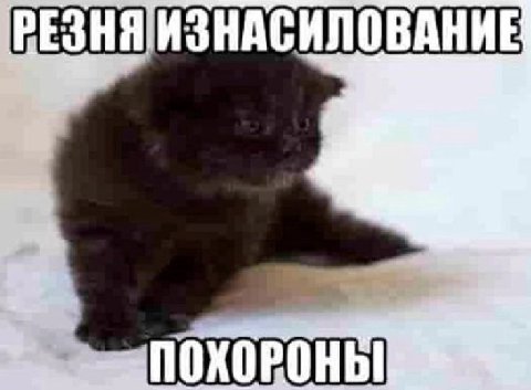 ПОХОРОНЫ