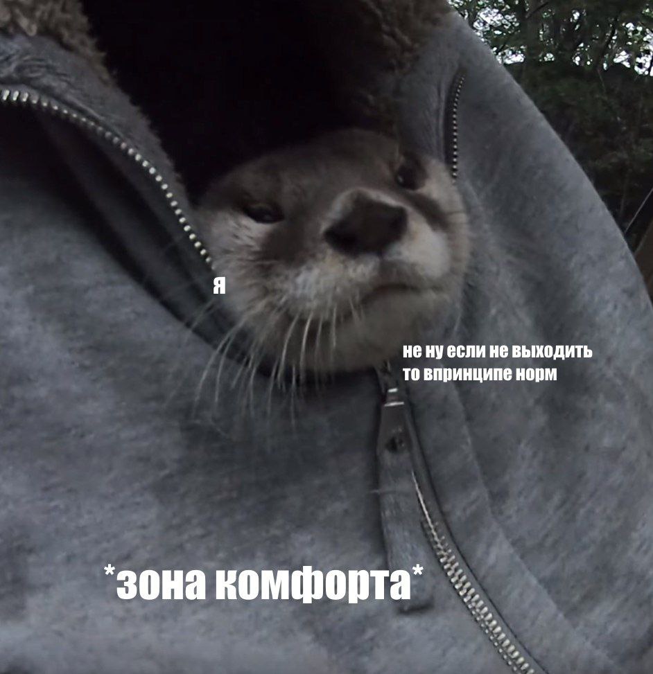 не нуесли HE выходить то впринципе норм *зона