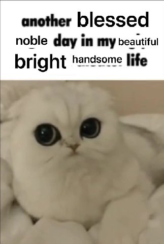 another blessed noble day in my beautiful bright handsome life