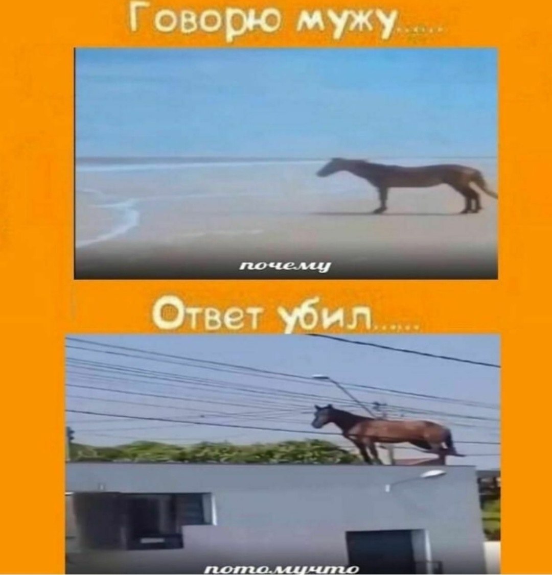 Говорю мужу Ответ убил