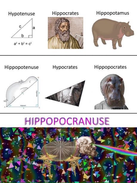 Hypotenuse Hippopotamus Hippocrates Hippopotenuse Hypocrates Hippopocrates POCRA 4: 4.4 A 3% ety