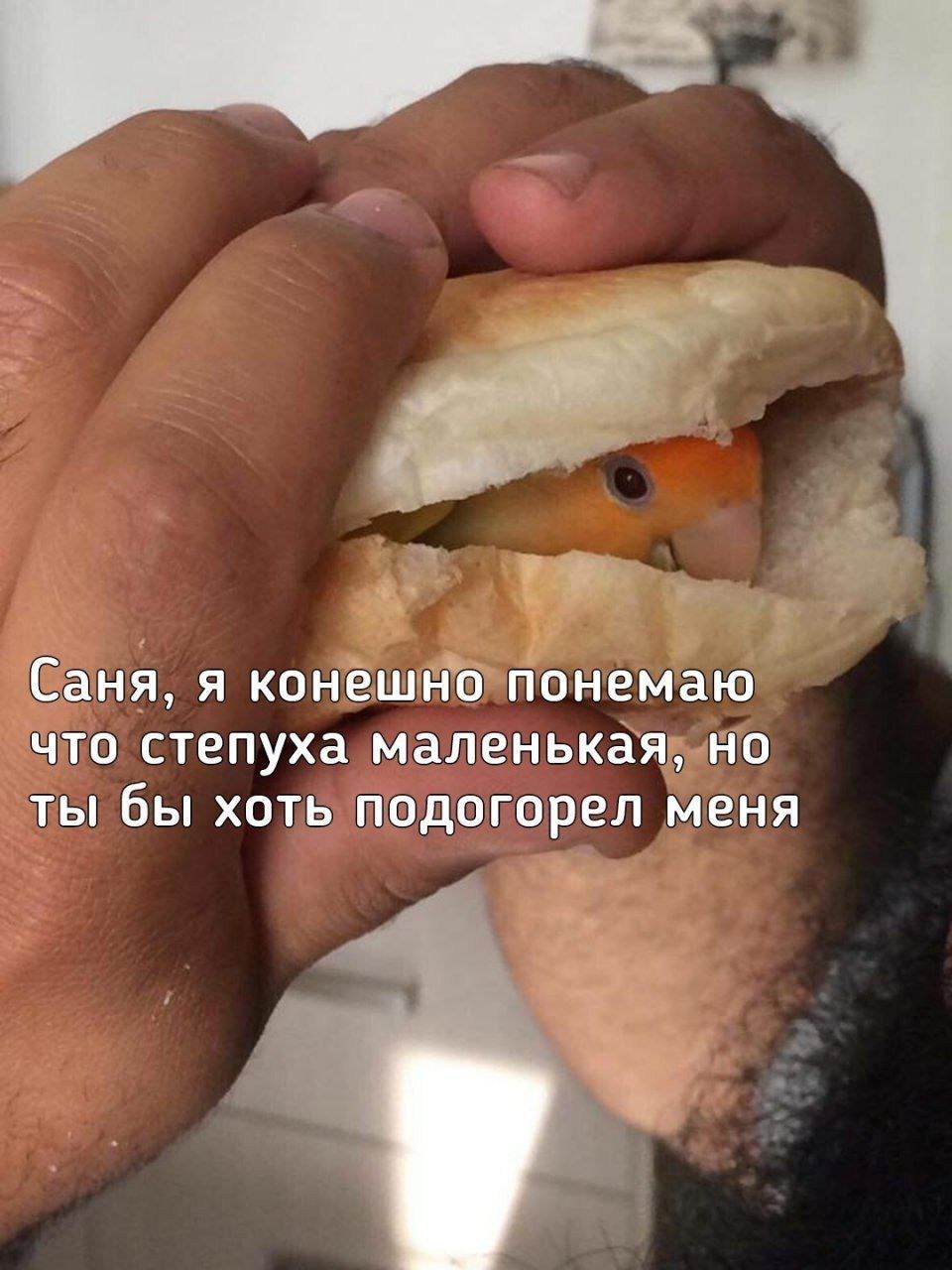 Саня, я конешно понемаю что степуха маленькая, но ты бы хоть подогорел меня