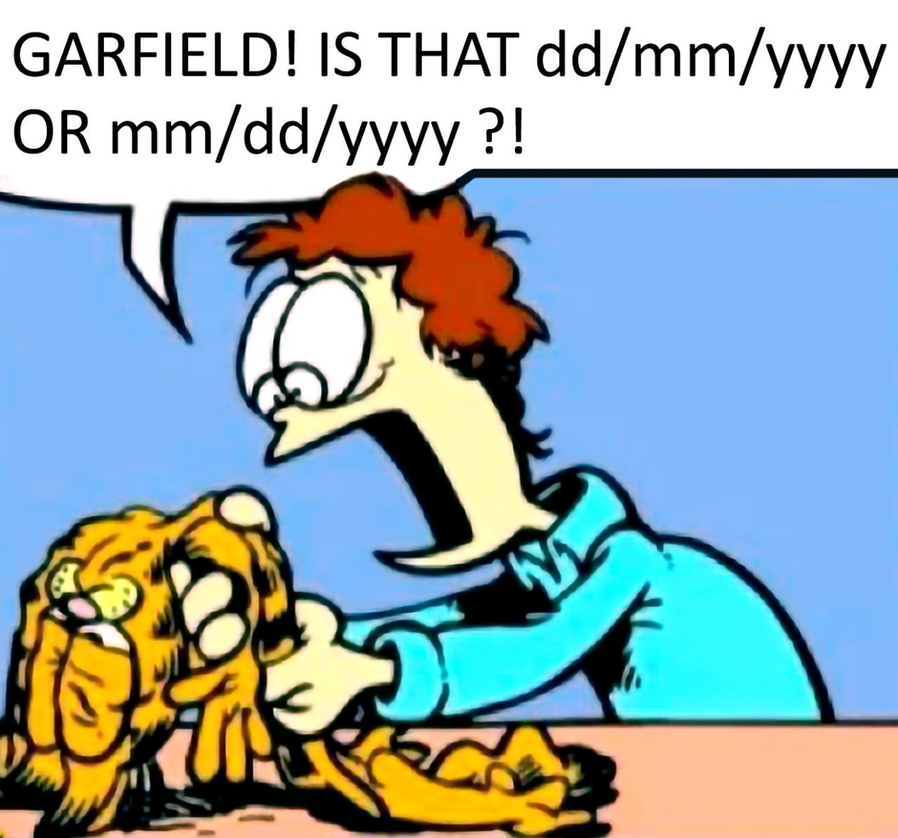 GARFIELD! IS THAT dd/mm/yyyy OR тт/аа/уууу 19