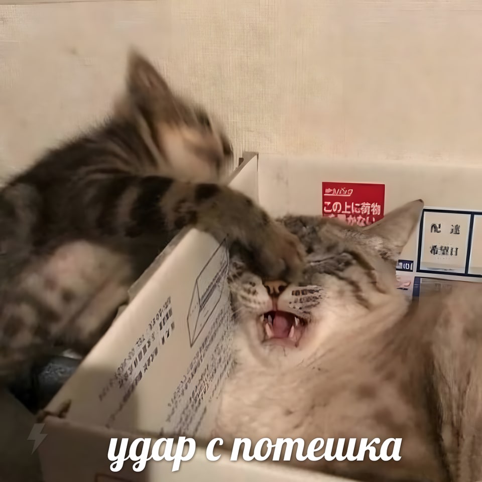 и потешка удар споте
