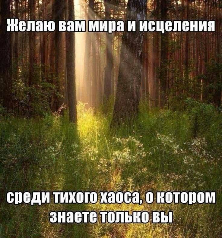 Желаю вам мира и исцеления среди тихого хаоса, 0 знаете только вы