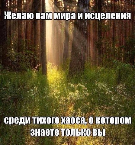Желаю вам мира и исцеления среди тихого хаоса, 0 знаете только вы