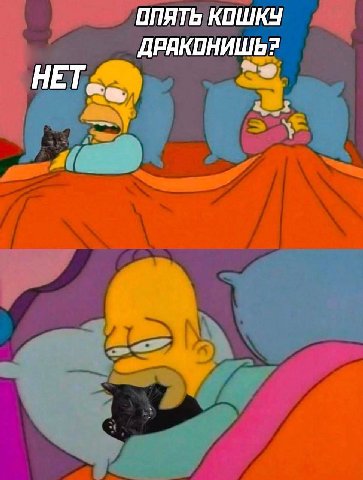 ОПЯТЬ КОШКУ НЕТ