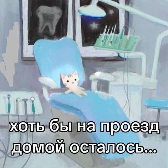 хоть бы проезд домой осталось...