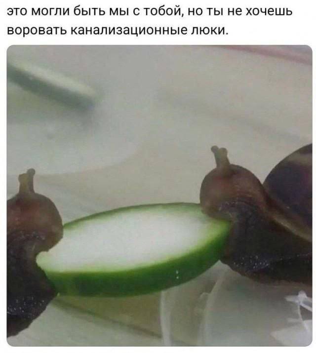 это могли быть мы с тобой, но ты не хочешь воровать канализационные люки.