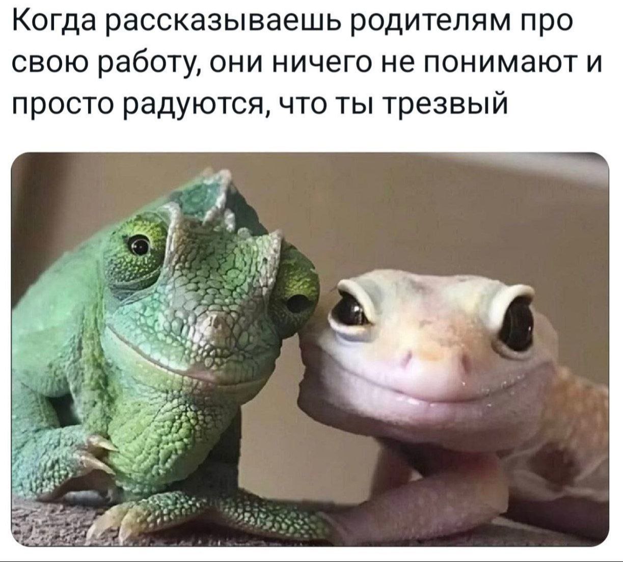 Когда рассказываешь родителям про свою работу, они ничего не понимают и просто радуются, что ты трезвый я
