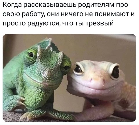 Когда рассказываешь родителям про свою работу, они ничего не понимают и просто радуются, что ты трезвый я