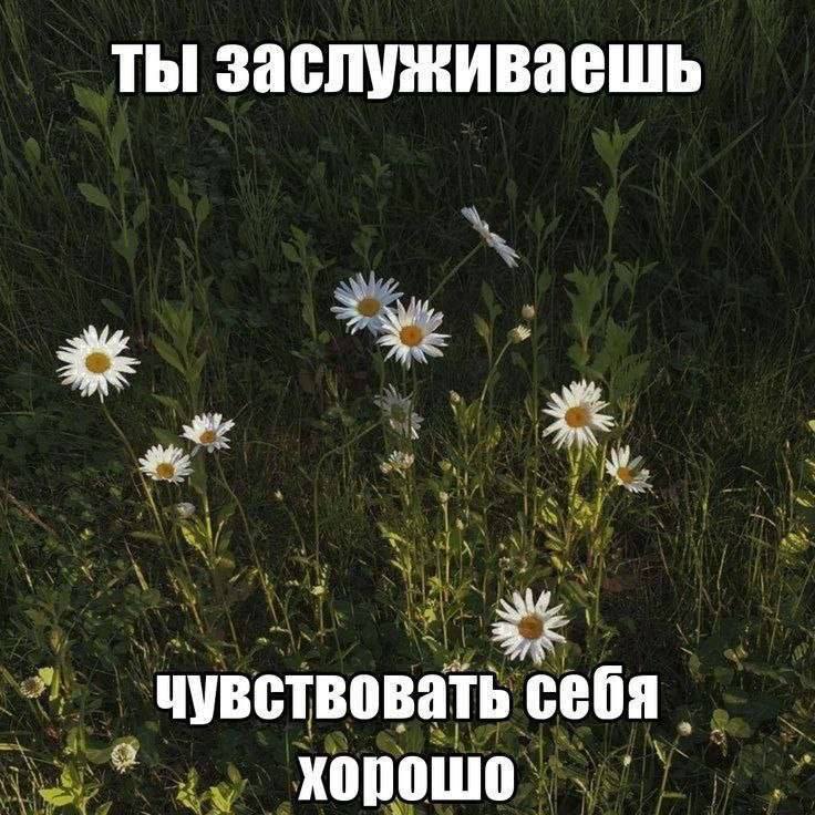 ты заслуживаешь 44 at чувствовать хорошо