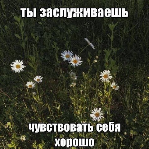 ты заслуживаешь 44 at чувствовать хорошо
