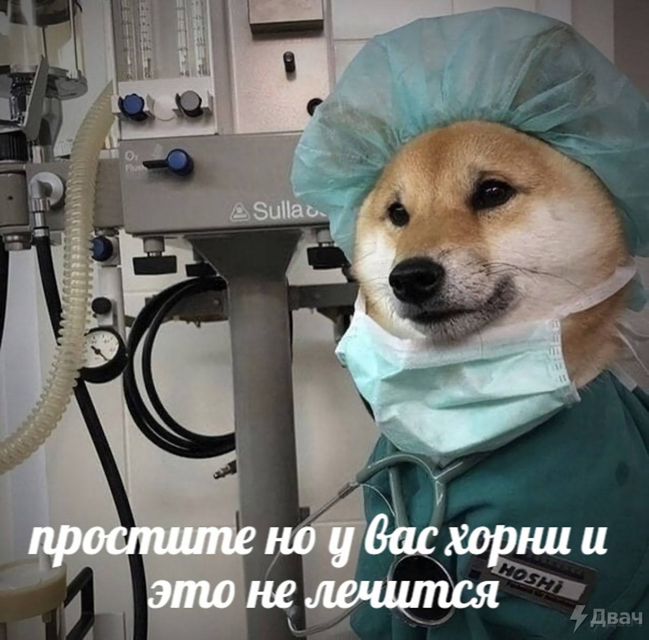 Sulla простите но у вас хорни и это не лечится