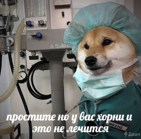 Sulla простите но у вас хорни и это не лечится
