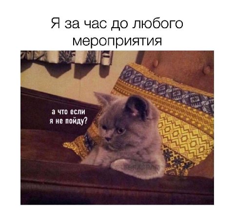 Я за час до любого меро риятия а что если я не пойду? 29.