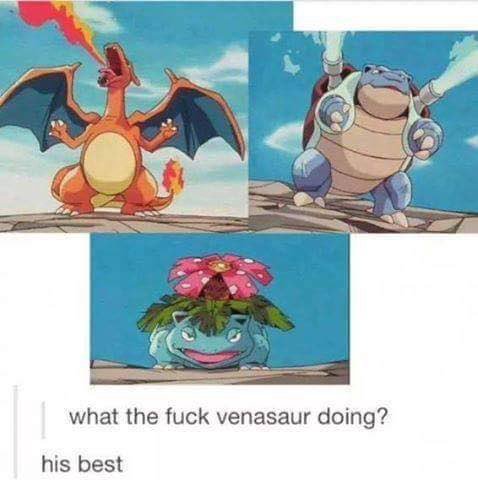 7 what the fuck venasaur doing? his best