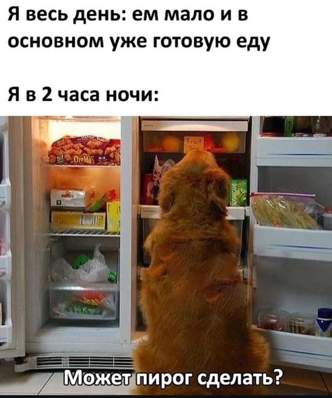 Я весь день: мало и в основном уже готовую еду 2 часа ночи: И а 1 сделать?