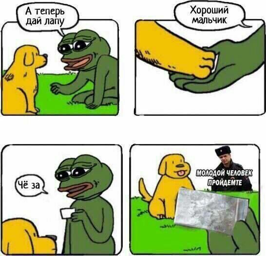 А теперь Хороший дай лапу мальчик у У МОЛОДОЙ ЧЕЛОВЕК ПРОЙДЕМТЕ