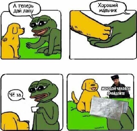 А теперь Хороший дай лапу мальчик у У МОЛОДОЙ ЧЕЛОВЕК ПРОЙДЕМТЕ