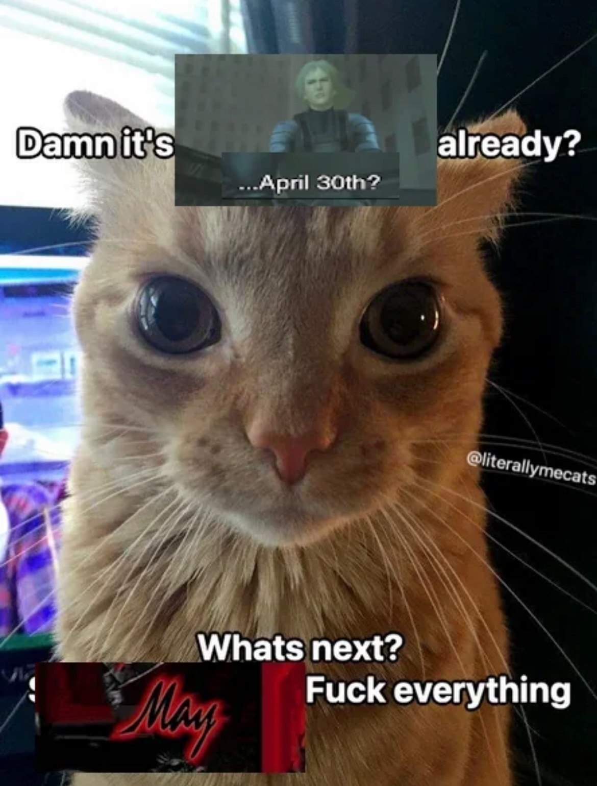 it's already? Whats next? Fuck everything