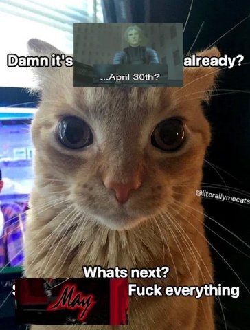 it's already? Whats next? Fuck everything