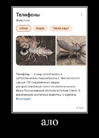 Телифоны Животное Видео Также ищут Обзор Телифоны отряд тропических и субтропических паукообразных. Насчитывают свыше 100 современных видов, распространённых почти исключительно в Индо-Тихоокеанской о