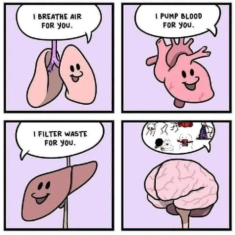 BREATHE AIR PUMP BLOOD FOR You. FOR You. 7 FILTER WASTE 7 FOR You.