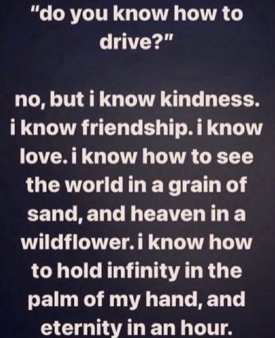 you know how to drive?" no, but i know kindness. i know friendship. i know know how to see the world in a grain of sand, and wildflower.i know how to hold infinity in the palm of my hand, and eternity