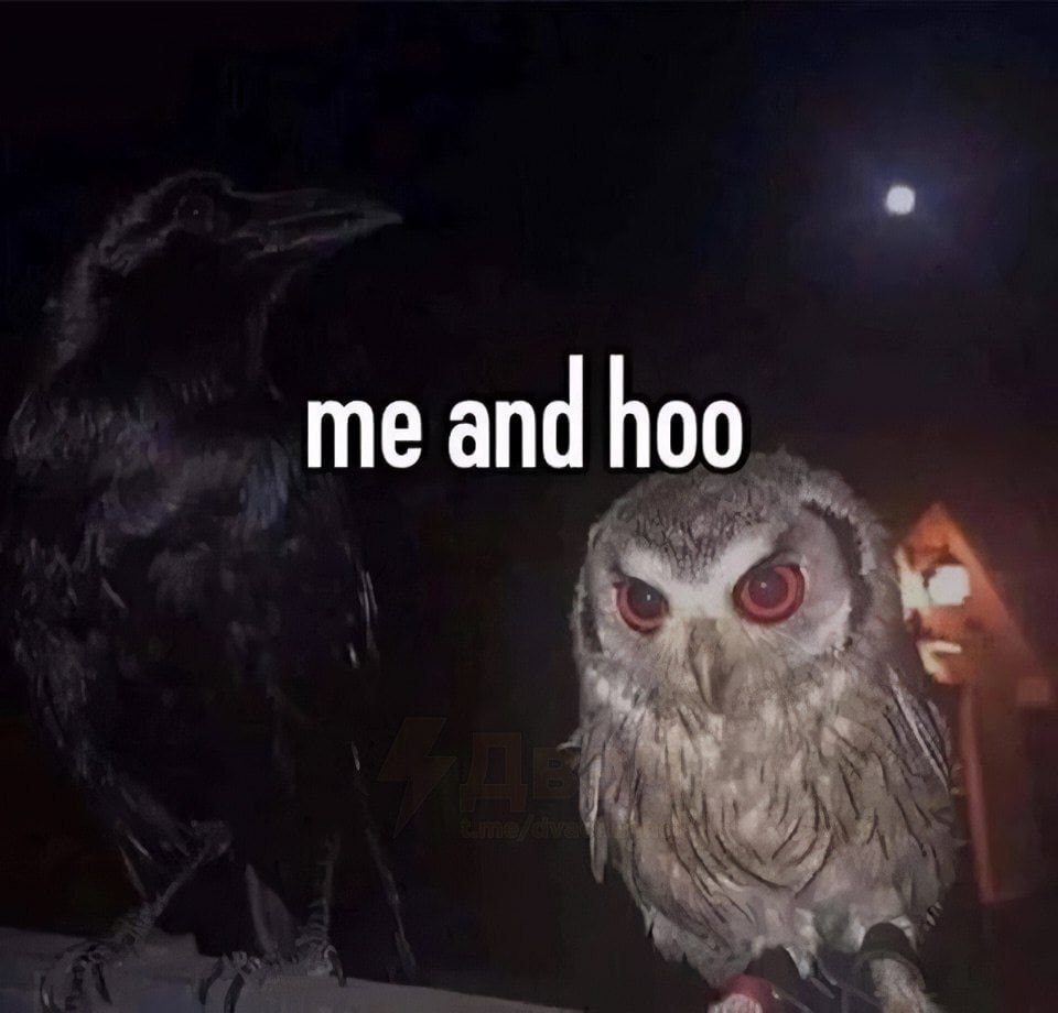 me and hoo