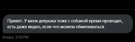 там в твиторе открыли портал в ад обсуждая слова аси казанцевой про еблю с животными