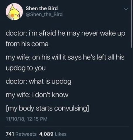 Shen the Виа @Shen_the_Bird doctor: afraid he may never wake up from his coma my wife: on his will it says he's left all his updog to you doctor: what is updog my wife: i don't know [my body starts co