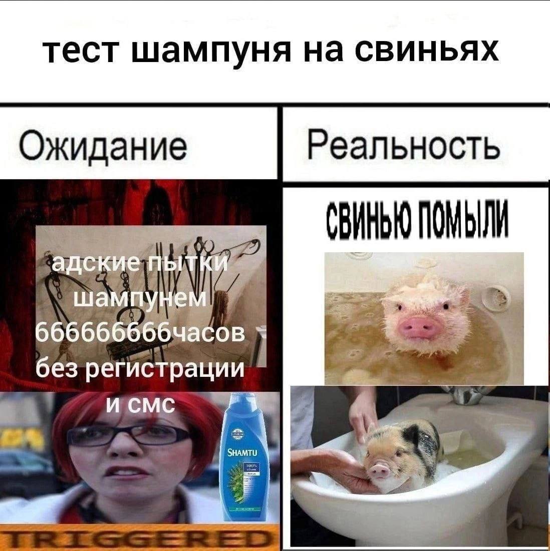 тест шампуня на CBUHbAX Ожидание Реальность без регистрации a’