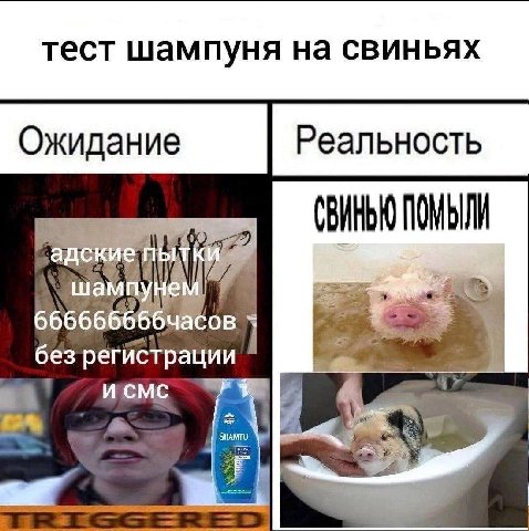 тест шампуня на CBUHbAX Ожидание Реальность без регистрации a’