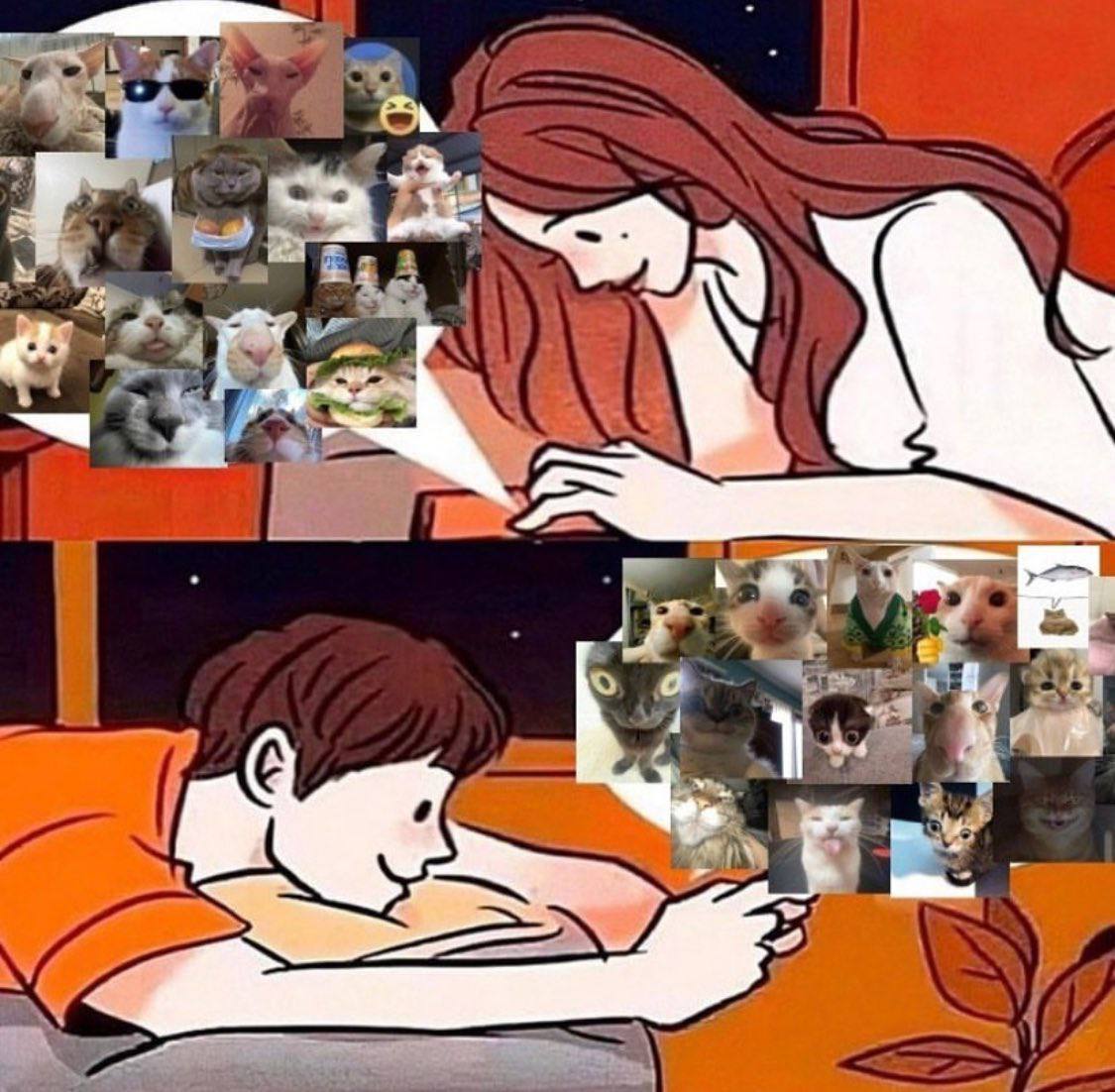 2 4 1 25