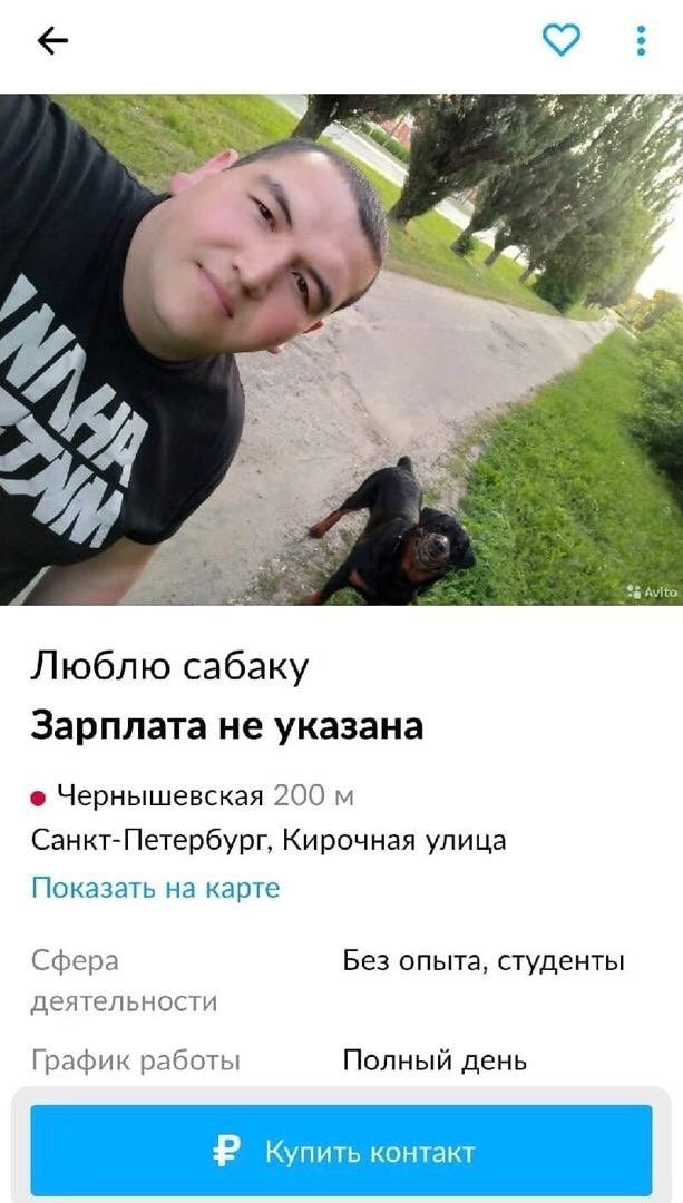 Avito Люблю сабаку Зарплата не указана Чернышевская 200 Санкт-Петербург, Кирочная улица Показать на карте Сфера Без опыта, студенты деятельности График работы Полный день Купить контакт