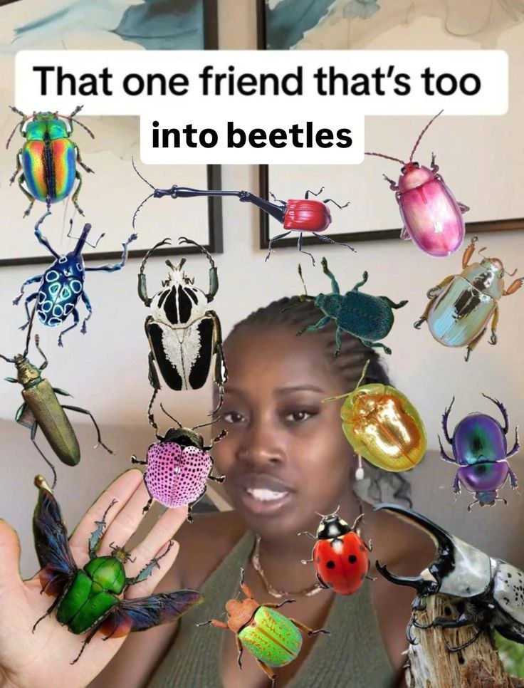 That one friend that’s too „2 Я into beetles We А