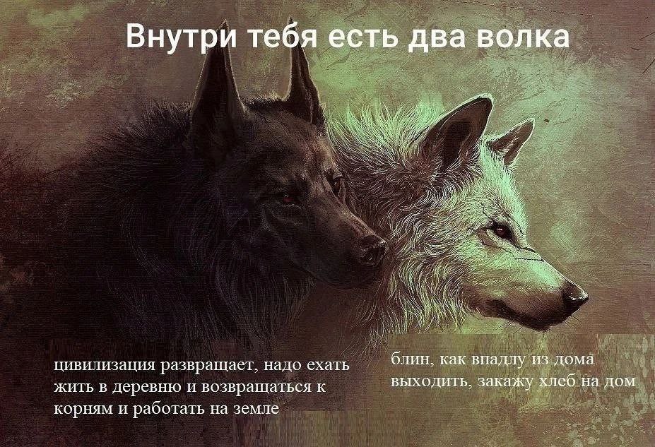 Внутри тебя есть два волка, А блин, как впадлу из дома цивилизация развращает, надо ехать выходить, закажу хлеб на дом жить в деревню и возвращаться к корням и работать на земле