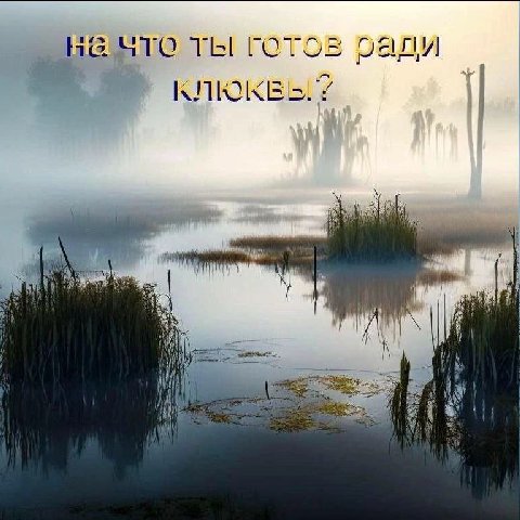 ты Готов оади 4 7 у я к