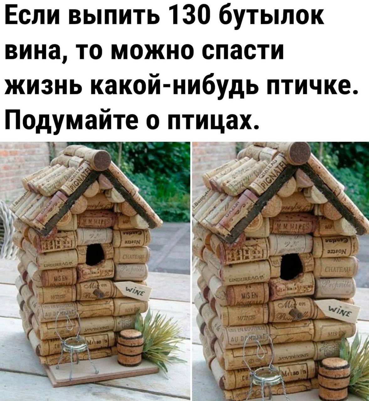 Если выпить 130 бутылок вина, то можно спасти жизнь какой-нибудь птичке. Подумайте о птицах.