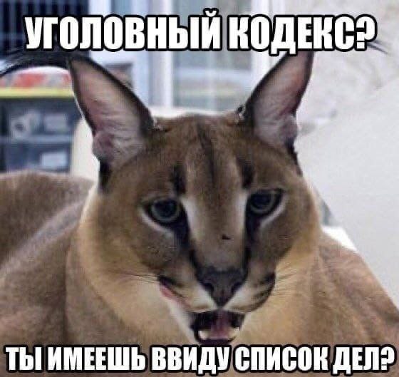 УГОЛОВНЫЙ ТЫ ИМЕЕШЬ ВВИДУ СПИСОК DEN?