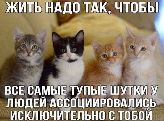 ЖИТЬ НАДО ТАК ВСЕ САМЫЕ ТУПЫЕ ШУТКИ У ЛЮДЕЙ АССОЦИИРОВАЛИСЬ ИСКЛЮЧИТЕЛЬНО С ТОБОЙ