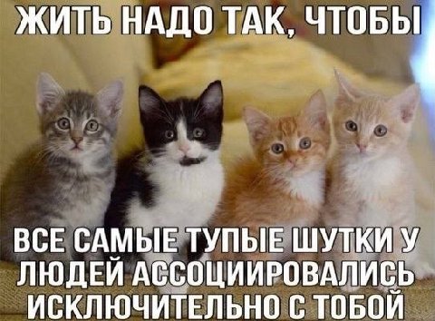 ЖИТЬ НАДО ТАК ВСЕ САМЫЕ ТУПЫЕ ШУТКИ У ЛЮДЕЙ АССОЦИИРОВАЛИСЬ ИСКЛЮЧИТЕЛЬНО С ТОБОЙ